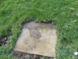 image of grave number 568603